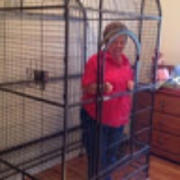 Meet your Posher, Beatrice - Picture 1 of 1